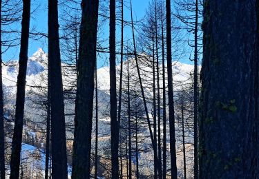 Tour Wandern Molines-en-Queyras - EMBRUN JOUR 3 : Le Pic du Bûcher (QUEYRAS) - Photo