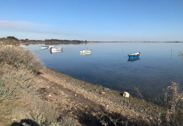 Tour Wandern Villeneuve-lès-Maguelone - Les salines de Villeneuve - Photo