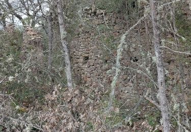 Trail Walking Gréoux-les-Bains - Les Tronnes par les Broues  - Photo