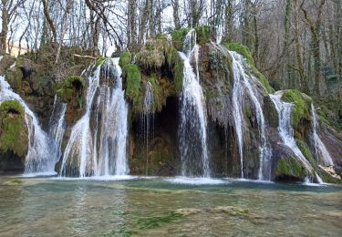 Tocht Stappen Lessard-en-Bresse - mesnay confiture - Photo