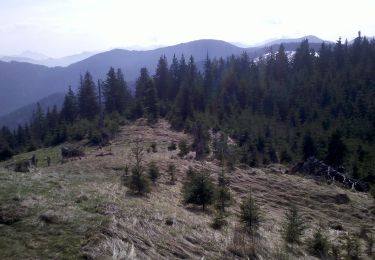 Randonnée A pied Reichersbeuern - Wanderweg R 7 - Bayrische Voralpen - Photo