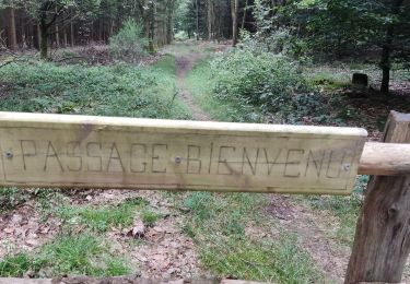 Excursión Senderismo Gouvy - la ferme de la Hé Cierreux - Photo