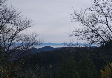 Tour Wandern Urbeis - Les deux Lacs - Photo
