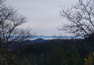 Percorso Marcia Orbey - Les deux Lacs - Photo