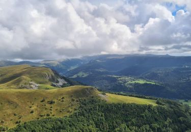 Excursión A pie Murat-le-Quaire - Le tour sud de la banne d'Ordanche - Photo