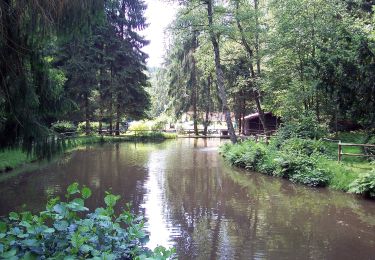 Trail On foot Blieskastel - DE-Reh - Photo