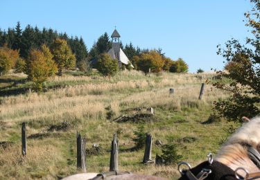 Trail On foot Bad Wildungen - Nationalparkrundweg Talgang - Photo