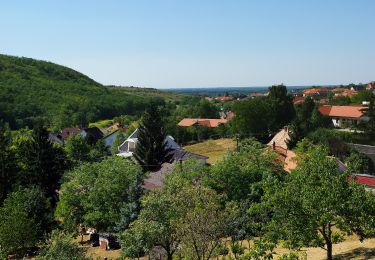 Tour Zu Fuß Győrújbarát - Tobozgyűjtő út - Photo