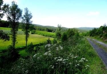 Randonnée A pied Bestwig - Nuttlar Rundweg N5 - Photo