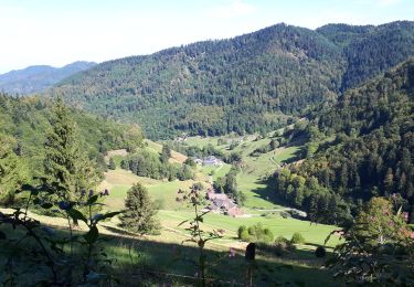 Trail Walking Münstertal/Schwarzwald - Le  Belchen - Photo