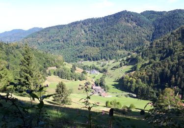 Tocht Stappen Münstertal/Schwarzwald - Le  Belchen - Photo