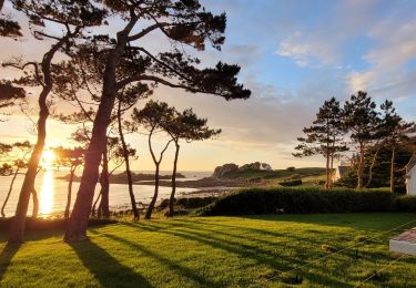 Tour Wandern Saint-Martin-des-Champs - Bretagne Nord J4 De Morlaix à Plougasnou - Photo