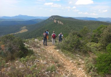 Excursión Senderismo Rocbaron - Cuers - Photo