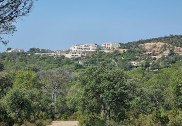 Tour Wandern Saint-Raphaël - z les caous 27-06-23 - Photo