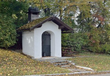 Trail On foot Gemeinde Hernstein - Auf dem Hart (Ergänzung zum Wanderweg 4) - Photo