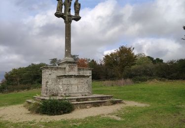 Trail Walking Vannes - vannes tohannic - Photo