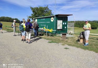 Tocht Stappen Sierentz - Sierentz - Photo