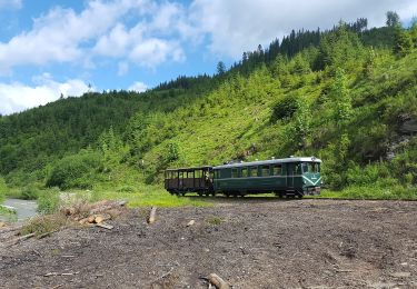 Randonnée A pied Borșa - C.F.F. Măcârlău - Refugiul Montan Lucăciasa - Băile Borșa - Photo