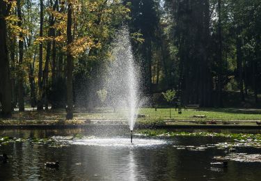 Tocht Te voet Długopole Dolne - Leśny Zdrój - Photo