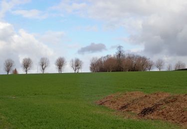 Randonnée Marche Incourt - #210315 - Glimes, Ferme de la Ramée et Tumulus*** - Photo