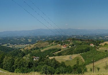 Tocht Te voet Leutschach an der Weinstraße - Kleeblattwanderweg Nr. 4a - Photo