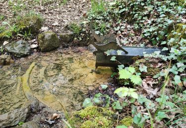 Trail Walking Algrange - marché gourmande - Photo