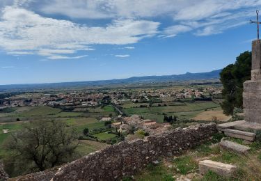 Tocht Stappen Montpeyroux - Le bary Arboras le Castelas - Photo