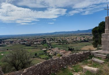 Randonnée Marche Montpeyroux - Le bary Arboras le Castelas - Photo