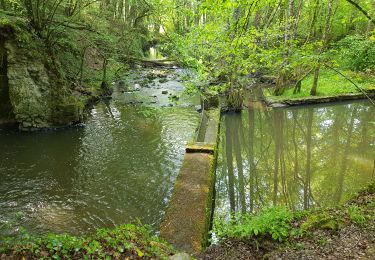 Tocht Stappen Pernay - 2019.05.02-8,9km-Pernay - Photo