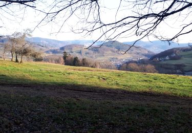 Tour Wandern Urbeis - Pairis weintein lac noir Pairis - Photo