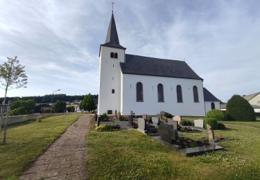 Tour Wandern Weinsheim - Weinsheim - Photo