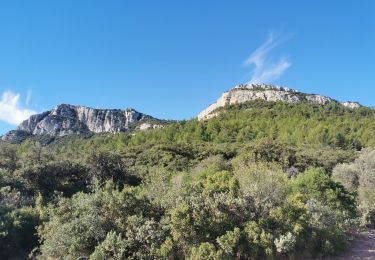 Trail Walking La Farlède - sommet du Coudon en partant de La Farlède - Photo