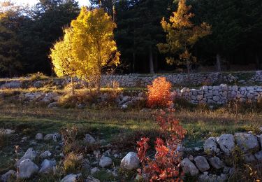 Trail Walking Saint-Vallier-de-Thiey - Face Sud de la montagne de Thiey - Photo