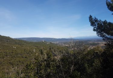 Trail Trail Nans-les-Pins - Sources de l'Huveaune par le chemin des Roys - Photo