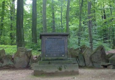 Tour Zu Fuß Herrnhut - OL-Grüner Punkt - Herrnhut-Bernstadt - Photo