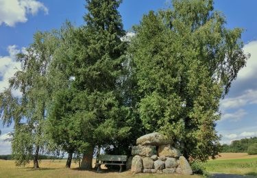 Tour Zu Fuß Wonsees - Rundwanderweg blauer Ring - Photo