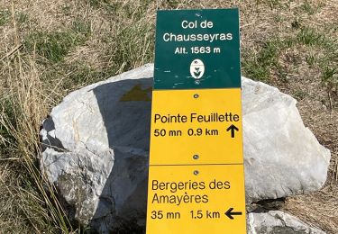 Trail Walking Lus-la-Croix-Haute - MAS REBUFAT - POINTE FEUILLETTE  - Photo