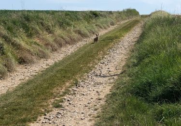 Trail Mountain bike Amiens - Gouy par la Maison Blanche et Velennes - Photo