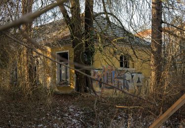 Tour Zu Fuß Bad Doberan - Doberaner Klostertour - Photo