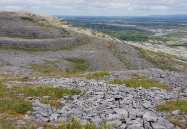 Trail Walking West Clare Municipal District - 190705BurrenNationalPark - Photo