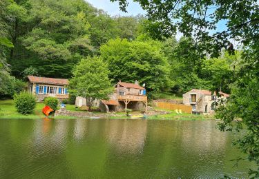 Randonnée Marche Vouvant - rando Mervent le 20 Mai 2021 - Photo