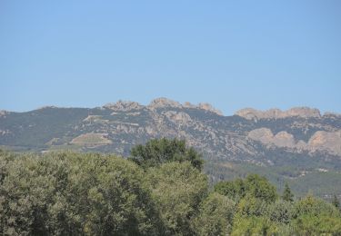 Trail Walking Carpentras - PF-Canal de Carpentras - Photo