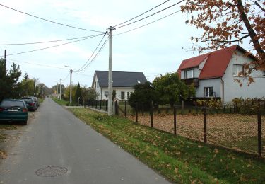 Excursión A pie  - Szlak spacerowy po Rezerwacie przyrody Łężczok - Photo