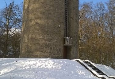 Tour Zu Fuß Leudelingen - Auto-Pédestre Leudelange - Photo