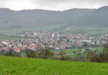 Tocht Te voet Gomadingen - Löwenpfade: Orchideenpfad - Photo