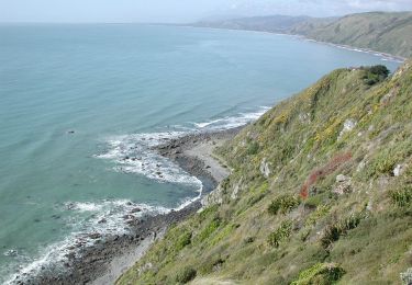 Excursión A pie  - Ara Harakeke (Flax Way) shared path - Photo