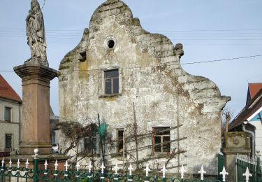 Tocht Te voet Heßdorf - Grünpunktweg Herzogenaurach-Poppenwind - Photo