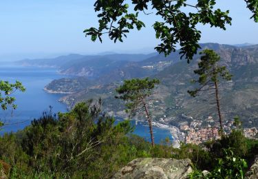 Tocht Stappen Monterosso al Mare - Marche matinale - Photo