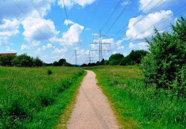 Tocht Te voet Haan - Haan Rundweg A1 - Photo