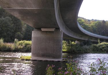 Excursión A pie Windeck - Wälderweg (Erlebnisweg Sieg Nr. 12) - Photo